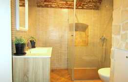 Apartament perfect pentru investitie, Zona Piata Muzeului