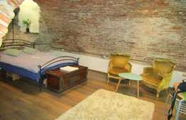 Apartament perfect pentru investitie, Zona Piata Muzeului