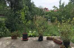 Casa individuala, 200 mp utili, 540 mp teren, D+P+E, asfalt, zona de case aproape de autogara Beta!