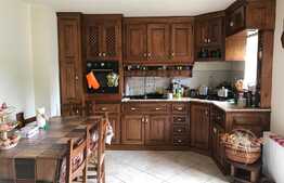 Casa individuala, 200 mp utili, 540 mp teren, D+P+E, asfalt, zona de case aproape de autogara Beta!