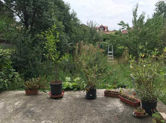 Casa de vânzare 5 camere Dambul Rotund - 33321CV | BLITZ Cluj-Napoca | Poza15