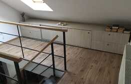 Apartament 2 camere, 52 mp ,recent renovat, totul nou, zona strazii Louis Pasteur