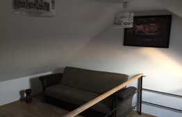 Apartament 2 camere, 52 mp ,recent renovat, totul nou, zona strazii Louis Pasteur