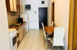 Apartament 2 camere, 65 mp, zona Parcului Central