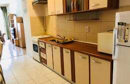 Apartament 2 camere, 65 mp, zona Parcului Central