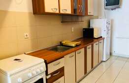 Apartament 2 camere, 65 mp, zona Parcului Central