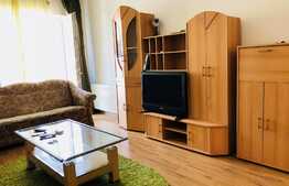 Apartament 2 camere, 65 mp, zona Parcului Central