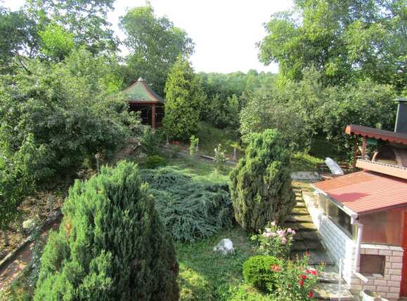 Casa de vânzare 5 camere Dambul Rotund - 33379CV | BLITZ Cluj-Napoca | Poza11