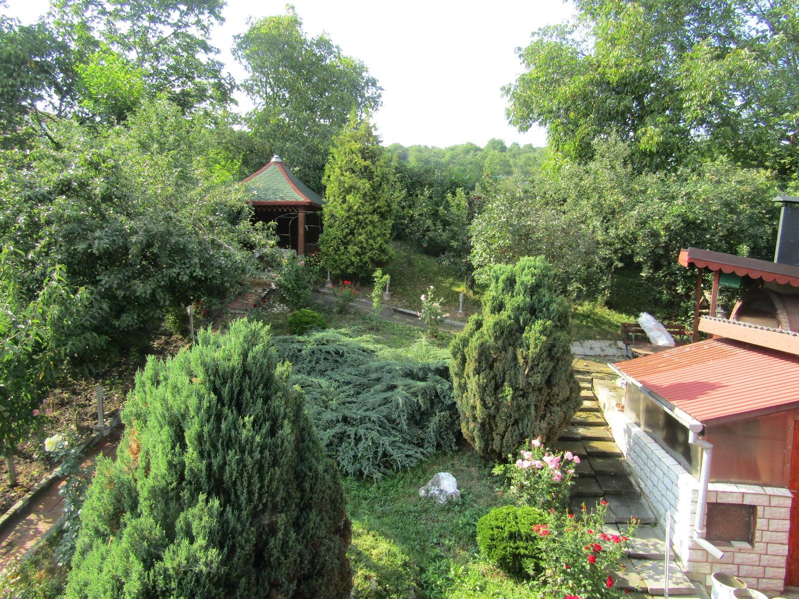 Casa de vânzare 5 camere Dambul Rotund - 33379CV | BLITZ Cluj-Napoca | Poza11