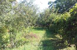 Casa renovabila 60 mp, teren 714 mp, front 19 ml, zona linistita