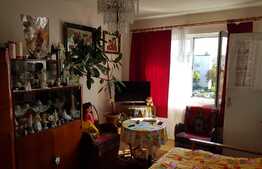 Garsoniera de vanzare, 25 mp, etaj intermediar, zona strazii Primaverii