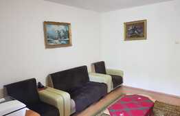 De vanzare garsoniera, 28 mp, etaj intermediar, boxa, zona strazii Parang