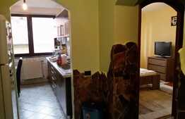 Apartament cu 3 camere , decomandat, 62 mp, A.C, zona Parcului Central