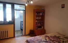 Garsoniera 28 mp, zona strazii Parang