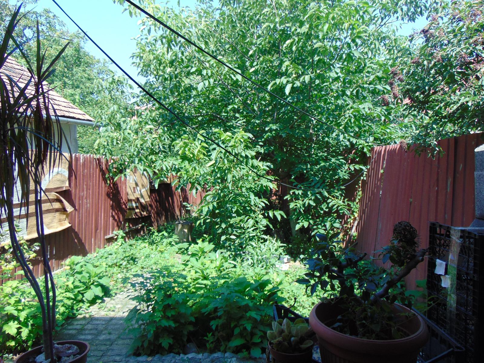 Casa de vânzare 4 camere Semicentral - 33420CV | BLITZ Cluj-Napoca | Poza5