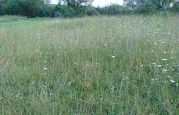 Teren intravilan 900 mp, zona Sopor, zona de case