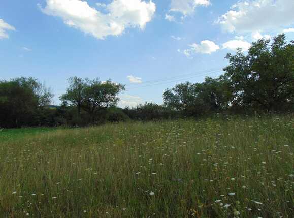 Teren de vânzare Sopor - 33422TV | BLITZ Cluj-Napoca | Poza3