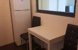 Apartament 2 camere, decomandat, 64 mp, mobilat modern, garaj, parcare, zona USAMV