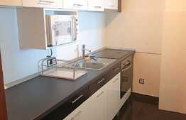 Apartament 2 camere, decomandat, 64 mp, mobilat modern, garaj, parcare, zona USAMV