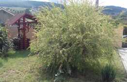 Casa cu 4 camere, 123 mp utili, teren de 600 mp! Zona linistita, finisaje superioare!