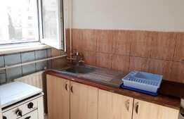 Garsoniera de inchiriat 25 mp, zona Expo Transilvania