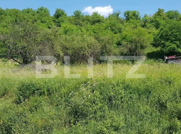 Teren de vânzare Baciu - 33477TV | BLITZ Cluj-Napoca | Poza1