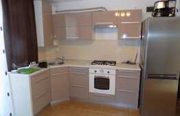 Apartament 2 camere, decomandat, 54 mp, parcare, zona strazii Fagului