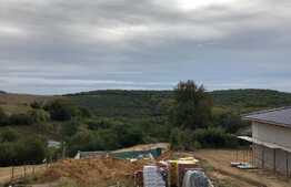 Scadere de pret! De vanzare casa individuala 183 mp, 700 mp teren, front de 18 ml, Exterior Sud!