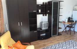 De vanzare garsoniera 33 mp + 16 mp terasa, zona Piata 1 MAI