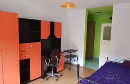 De vanzare garsoniera 27 mp, zona Stadion CFR