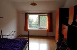 De vanzare garsoniera 27 mp, zona Stadion CFR