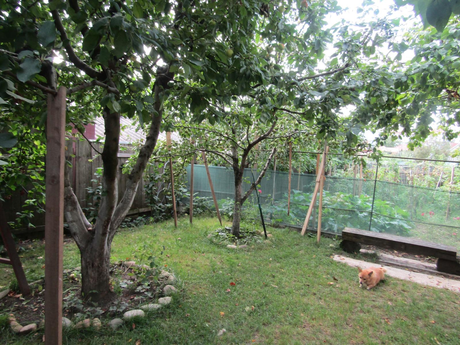 Casa de vânzare 3 camere Exterior Est - 33522CV | BLITZ Cluj-Napoca | Poza14