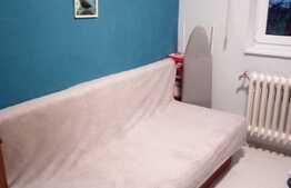 Apartament de vanzare 2 camere, zona Albac