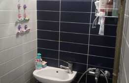 Apartament de vanzare 2 camere, zona Albac