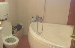 De vazare duplex, finisat si mobilat, zona Tauti !