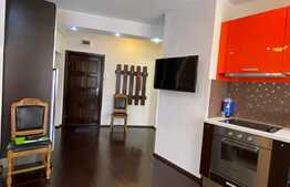 Apartament cu 2 camere, 55 mp, mobilat modern, centru, zona Piata Mihai Viteazu