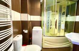 Apartament cu 2 camere, 55 mp, mobilat modern, centru, zona Piata Mihai Viteazu