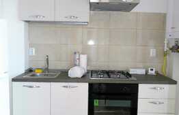 Apartament cu 1 camera + nisa de dormit, mobilat modern, 42 mp, imobil nou, zona FSEGA