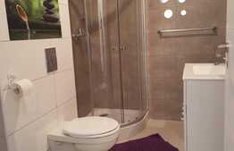 2 camere in imobil tip casa/vila, 55 mp, parcare, zona Expo Transilvania