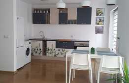 2 camere in imobil tip casa/vila, 55 mp, parcare, zona Expo Transilvania