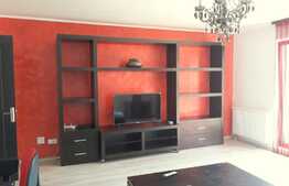 Breaking News: 100 mp, 3 camere, Zorilor