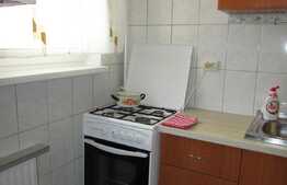 Garsoniera, 28 mp, zona Garii