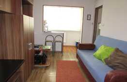 Garsoniera, 28 mp, zona Garii