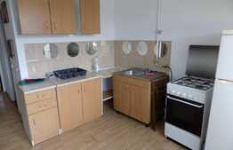 Apartament 1 camera, 42 mp, zona strada Garii