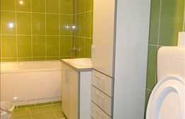 Apartament mobilat, utilat, 1 camera, 43 mp utili