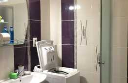 Apartament 1 camera, decomandat, 45 mp, garaj, zona strazii Dorobantilor