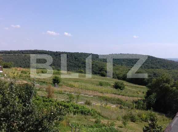 Casa de vânzare 5 camere Feleacu - 33610CV | BLITZ Cluj-Napoca | Poza3