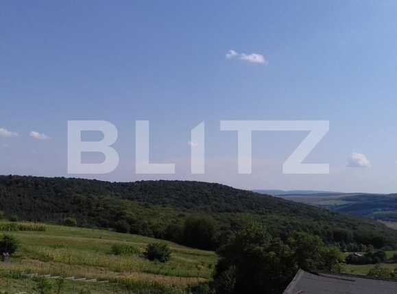 Casa de vânzare 5 camere Feleacu - 33610CV | BLITZ Cluj-Napoca | Poza4