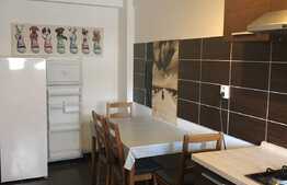 Apartament 1 camera, 40 mp, decomandat, garaj, imobil nou, zona USAMV