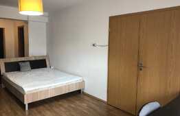 Apartament 1 camera, 40 mp, decomandat, garaj, imobil nou, zona USAMV